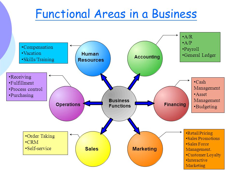 Functional Areas of a Business